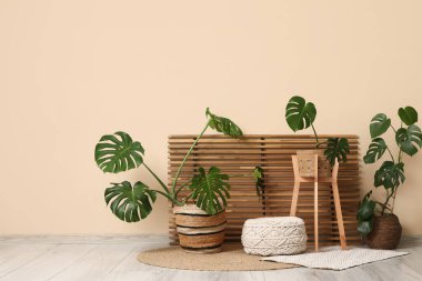 Katlanan ekran ve odada bej duvarın yanındaki Monstera bitkileri.