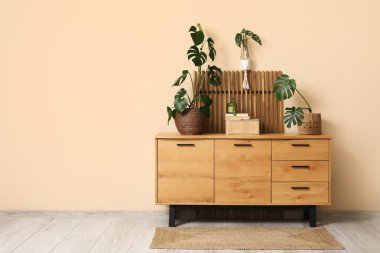 Bej duvarın yanındaki çekmecelerde farklı Monstera bitkileri var.