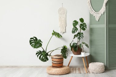 Katlanan ekran, masa ve Monstera çiçekleri beyaz duvarın yanında.