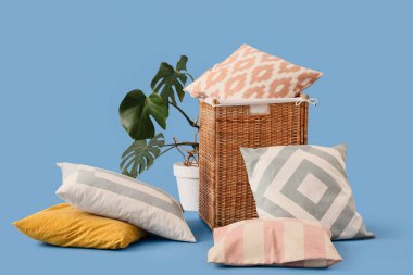 Farklı yastıklı sepet ve mavi arka planda ev bitkisi