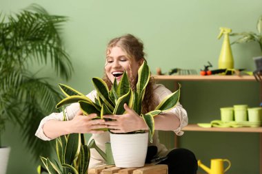 Önlüklü genç bir kadın Sansevieria bitkisini kucaklıyor.