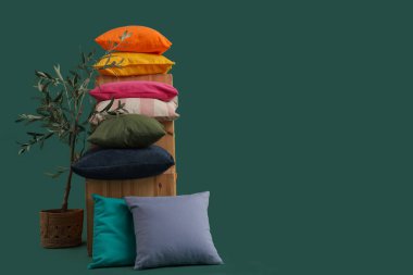 Yastıklı raf ünitesi ve koyu yeşil arka planda ev bitkisi