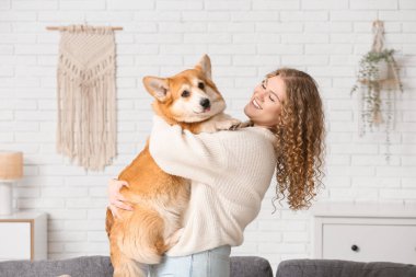 Evde Corgi köpeği olan mutlu genç bir kadın.
