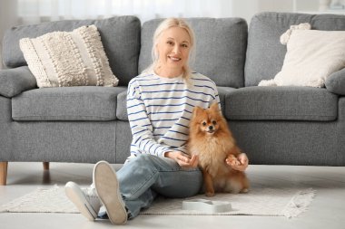 Pomeranya köpeğini evde besleyen güzel bir kadın.