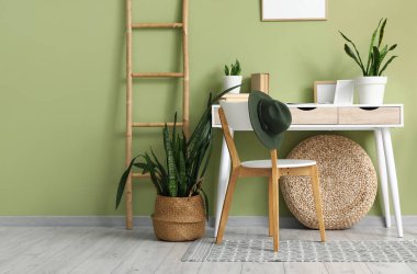 İş yeri, merdiven ve Sansevieria bitkileriyle birlikte ofis içi