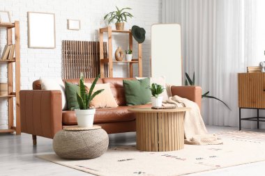 Oturma odasının içinde kanepe, masa ve Sansevieria bitkileri var.