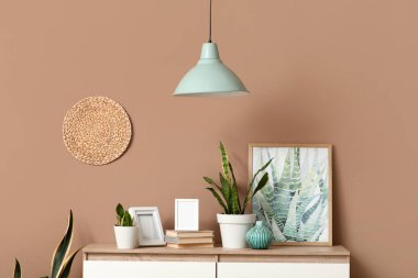 Sansevieria bitkileri, kitaplar, çerçeveler ve resim dolu çekmeceler oturma odasında