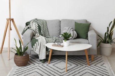 Oturma odasının içinde kanepe, masa ve Sansevieria bitkileri var.