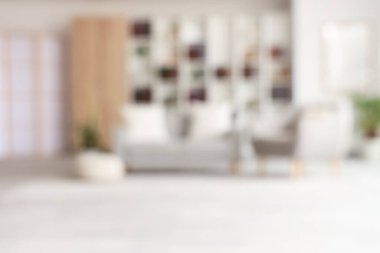 Kanepesi, koltuğu ve kitaplığı olan modern bir oturma odası. Bulanık görünüm