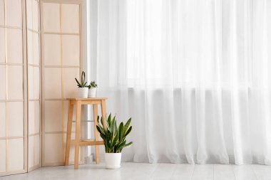 Odadaki ışık perdesinin yanında bitkilerle ve katlanan perdeyle dışkı