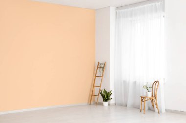 Sandalyeli merdiven ve ışık perdesinin yanındaki bitkiler