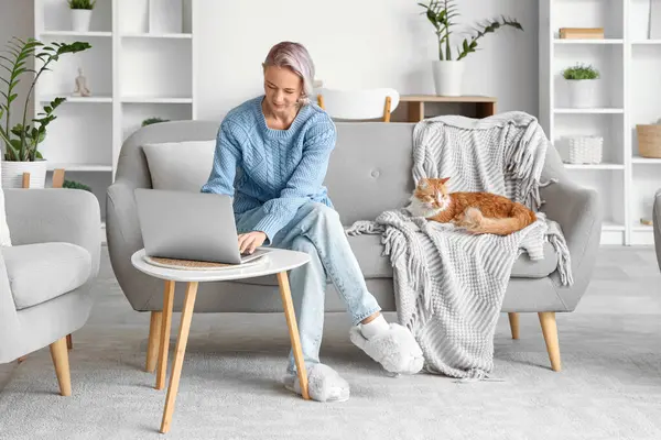 Evdeki kanepede dizüstü bilgisayar kullanan yumuşak terlikli güzel bir kadın.