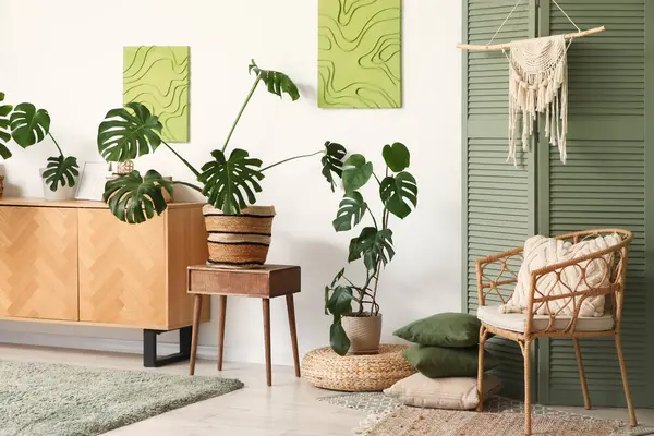 Çekmeceler, katlanan ekran, hasır koltuk ve oturma odasının içindeki Monstera bitkileri.