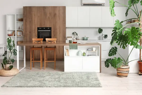 Monstera ev bitkileriyle modern mutfağın içinde.