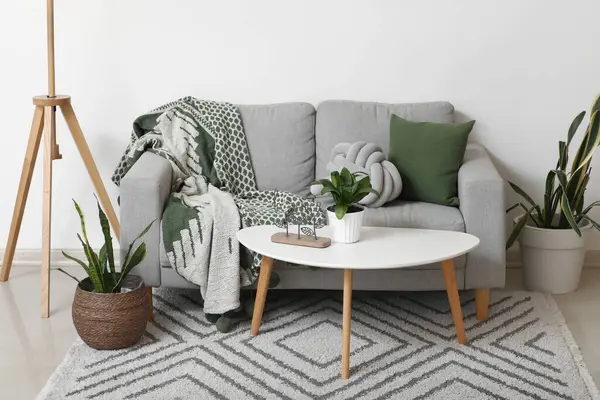 Oturma odasının içinde kanepe, masa ve Sansevieria bitkileri var.