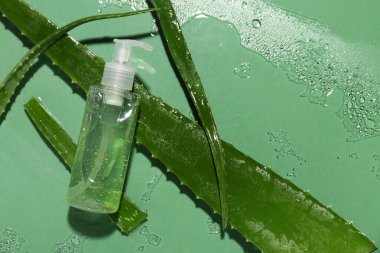 Islak yeşil arka planda duş jeli ve aloe yapraklı kompozisyon