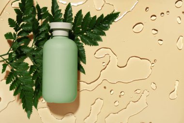 Duş jeli, eğrelti otu yaprağı ve su damlaları renk arkaplanına düşer