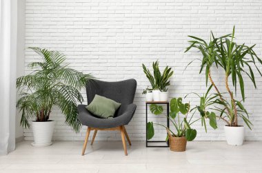 Oturma odasındaki beyaz tuğla duvarın yanında sehpalı koltuk ve farklı bitkiler.