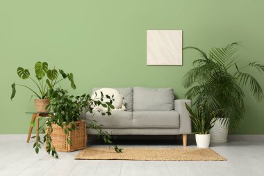 Kahve masalı kanepe ve oturma odasındaki yeşil duvarın yanında farklı bitkiler.