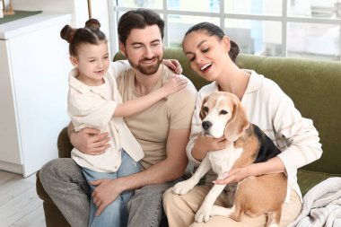 Anne babasıyla küçük tatlı bir kız ve mutfakta kanepede oturan Beagle köpeği.