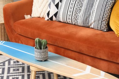 Oturma odasında sörf tahtasında kaktüs, yakın plan.