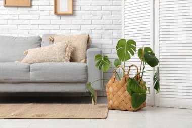 Gri kanepeli, çiçekli ve katlanır perdeli şık bir oturma odası.