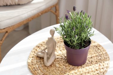 Oturma odasındaki biblolu lavanta çiçekleri, yakın plan.