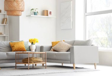 Gri kanepeleri ve kahve masasında güzel narsisli çiçekleri olan şık bir oturma odası.