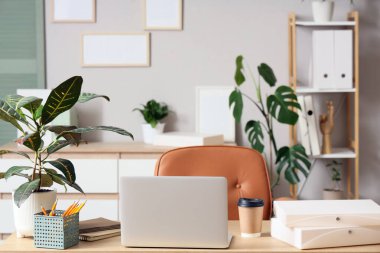 Modern dizüstü bilgisayar şık bir ofiste, farklı ev bitkileriyle.