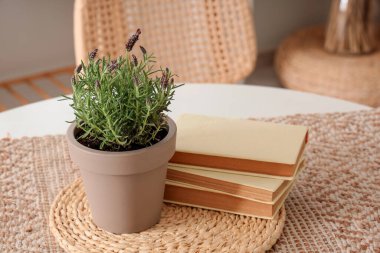 Güzel lavanta çiçekli tencere ve şık oturma odasındaki masada kitaplar, yakın plan.