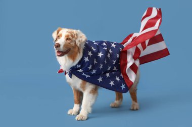 Mavi arka planda Amerikan bayrağı sallayan sevimli bir köpek. Bağımsızlık Günü kutlamaları