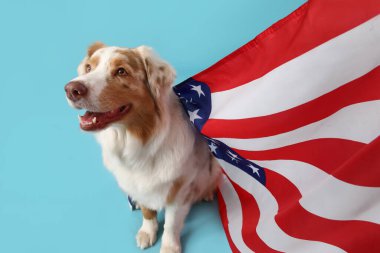 Mavi arka planda Amerikan bayrağı olan şirin bir köpek. Bağımsızlık Günü kutlamaları