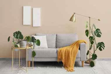 Gri kanepe, lamba ve Monstera bitkileriyle oturma odasının içinde.