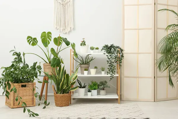 Beyaz duvarın yanında askılı, katlanmış perdeli ve çiçekli bir oda.