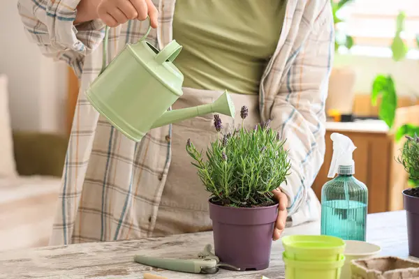 Evdeki masada lavanta çiçeklerini sulayan genç bir kadın, yakın plan.