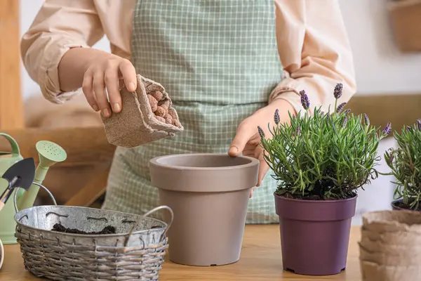 Evde lavanta çiçekleri için seramik döken kadın bahçıvan, yakın plan.