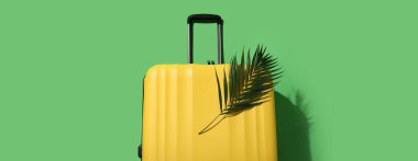 Yeşil arka planda bavul ve tropikal yaprak, üst görünüm