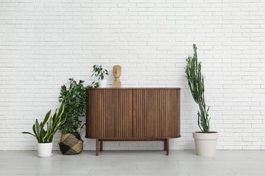 Ev bitkileri, ev dekorasyonu ve klozeti olan büyük bir kaktüs. Odadaki beyaz tuğla duvarın yanında.