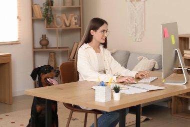 Sevimli Doberman köpeği ve evde bilgisayarla çalışan genç ve güzel bir kadın.