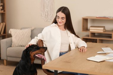 Şirin Doberman köpeği ve işyerindeki genç ve güzel mutlu kadın.