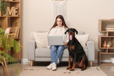 Tatlı Doberman köpeği ve evdeki kanepede dizüstü bilgisayarla çalışan genç ve güzel bir kadın.