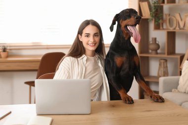 Tatlı Doberman köpeği ve evde dizüstü bilgisayarla çalışan güzel, genç ve mutlu bir kadın.