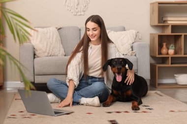 Tatlı Doberman köpeği ve evde dizüstü bilgisayarla çalışan genç ve güzel bir kadın.