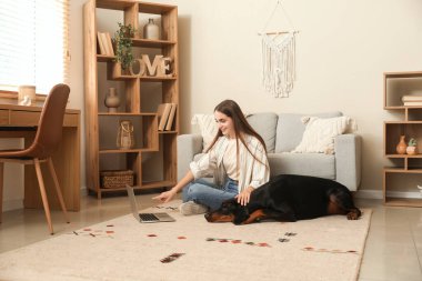 Tatlı Doberman köpeği ve evde dizüstü bilgisayarla çalışan genç ve güzel bir kadın.