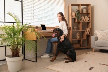 Tatlı Doberman köpeği ve evde dizüstü bilgisayarla çalışan güzel, genç ve mutlu bir kadın.