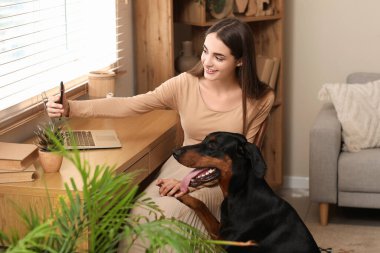 Tatlı Doberman köpeği ve dizüstü bilgisayarı olan mutlu genç bir kadın iş yerinde selfie çekiyor.