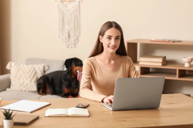 Sevimli Doberman köpeği kanepede yatıyor ve güzel, mutlu bir kadın evde dizüstü bilgisayarla çalışıyor.