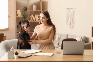 Şirin Doberman köpeği ve iş yerinde dizüstü bilgisayarı olan güzel, genç ve mutlu bir kadın.