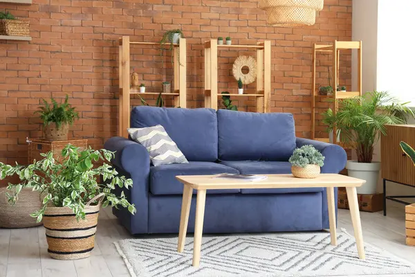 Oturma odasının içinde kanepe, raf üniteleri, masa ve ev bitkileri var.