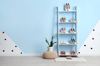 Yüksek topuklu raf ünitesi ve odadaki renk duvarının yanında bitki yetiştirme